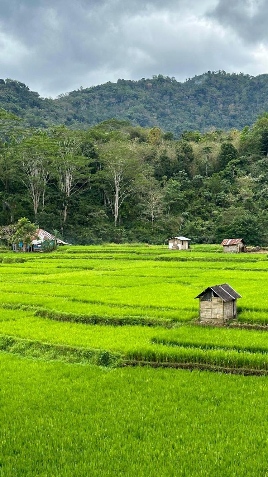 Petra Homestay Bangka Leda ルテン エクステリア 写真