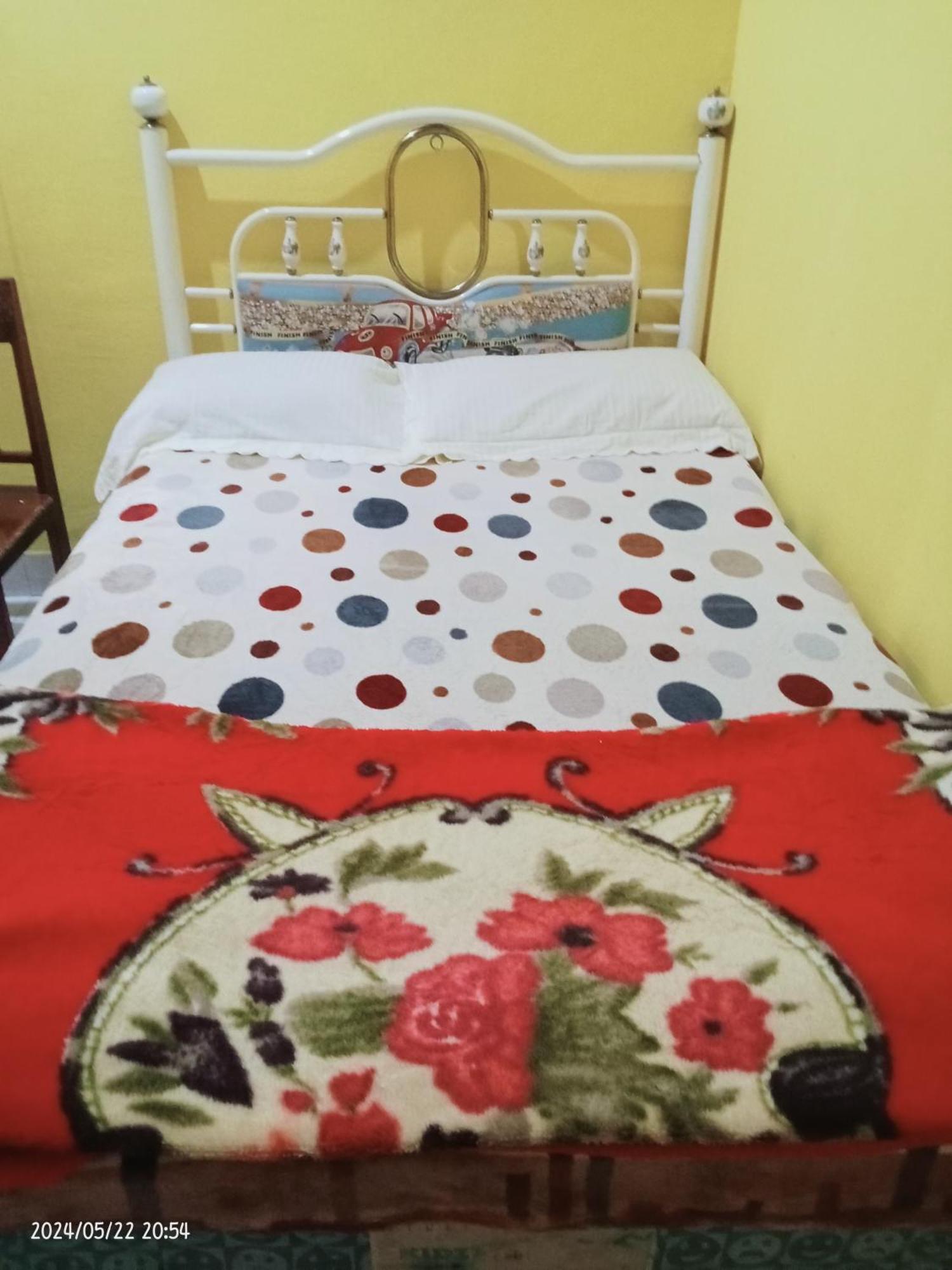 Petra Homestay Bangka Leda ルテン エクステリア 写真